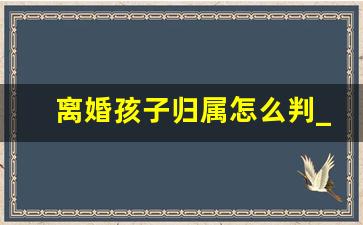 离婚孩子归属怎么判_孩子大了离婚怎么判