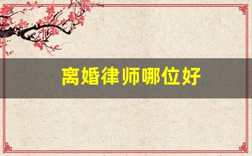 离婚律师哪位好