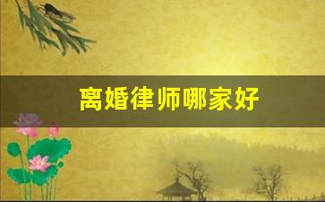 离婚律师哪家好