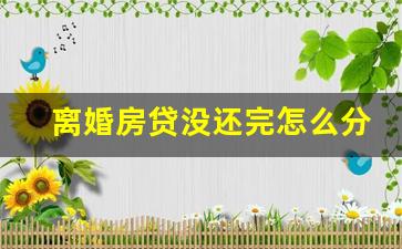 离婚房贷没还完怎么分_2023年7月1日离婚新规