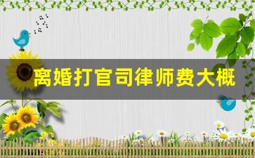 离婚打官司律师费大概多少钱