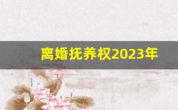 离婚抚养权2023年标准