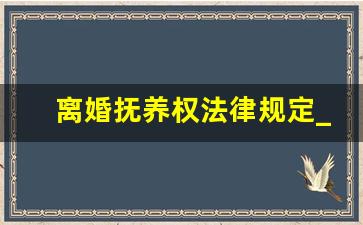 离婚抚养权法律规定_有孩子离婚最好的方式