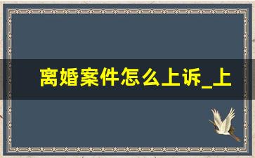 离婚案件怎么上诉_上诉流程怎么走