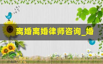 离婚离婚律师咨询_婚姻律师咨询