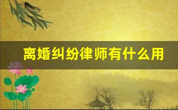 离婚纠纷律师有什么用_离婚律师咨询免费