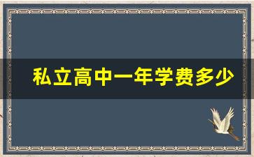 私立高中一年学费多少