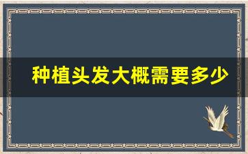 种植头发大概需要多少费用