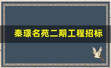 秦璟名苑二期工程招标公告_政府采购中标公示