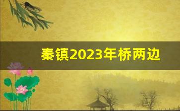 秦镇2023年桥两边开发不_2024年秦镇大桥以西会拆迁吗