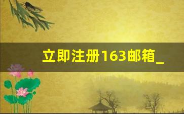 立即注册163邮箱_163免费注册入口手机号邮箱