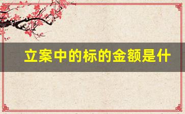 立案中的标的金额是什么金额_欠700怎么填写标的金额