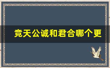 竞天公诚和君合哪个更厉害_竞天公诚在红圈算好的吗