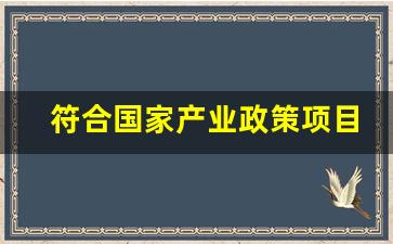 符合国家产业政策项目