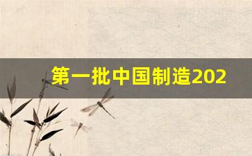 第一批中国制造2025专项资金_2025打钱到位了