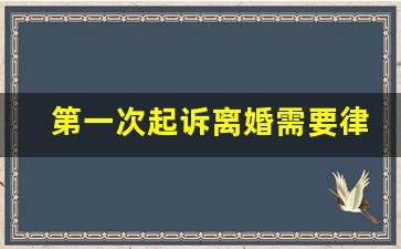 第一次起诉离婚需要律师吗