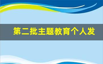 第二批主题教育个人发言_主题教育的收获和感悟