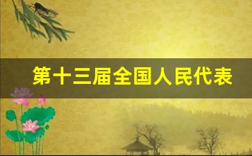 第十三届全国人民代表大会_十三届全国人大一次会议