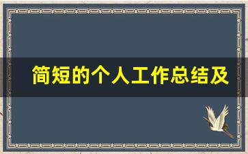 简短的个人工作总结及计划