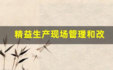 精益生产现场管理和改善_员工提案改善500条