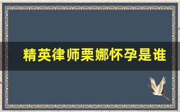 精英律师栗娜怀孕是谁的