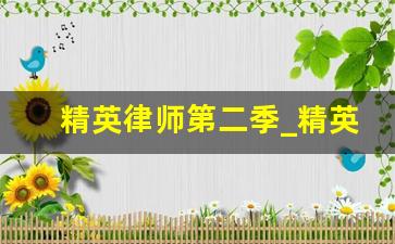 精英律师第二季_精英律师第二季罗槟的归属