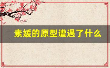 素媛的原型遭遇了什么_素媛案件韩国总统下跪道歉