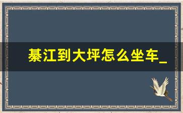 綦江到大坪怎么坐车_綦江到白市驿客车时间