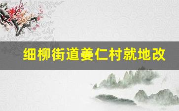 细柳街道姜仁村就地改造_2024年高新区细柳镇拆哪些村