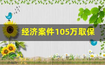 经济案件105万取保候审