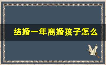 结婚一年离婚孩子怎么判_彩礼纠纷的解决方式