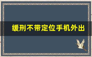 缓刑不带定位手机外出_缓刑只定位一个手机号码