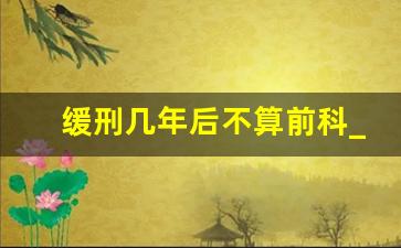 缓刑几年后不算前科_帮信罪如何才会无罪释放