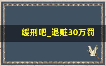 缓刑吧_退赃30万罚金大概多少