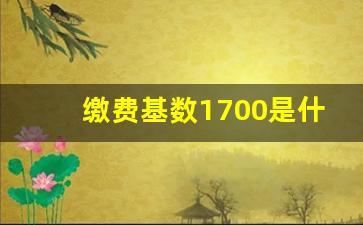 缴费基数1700是什么意思_个人缴纳1700元社保