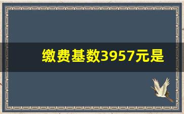 缴费基数3957元是啥意思_4250基数退休领多少