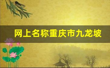 网上名称重庆市九龙坡区劳动人事争议仲裁院_重庆市劳动仲裁