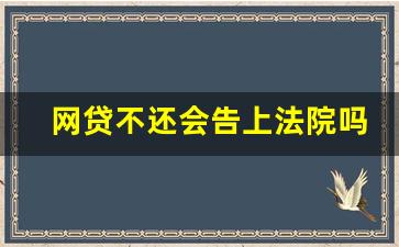 网贷不还会告上法院吗_网贷起诉法院受理吗