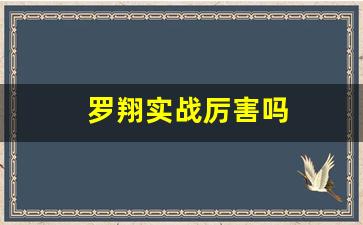 罗翔实战厉害吗