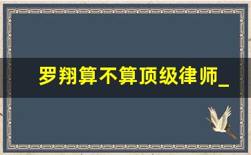 罗翔算不算顶级律师_罗翔在红圈所的地位