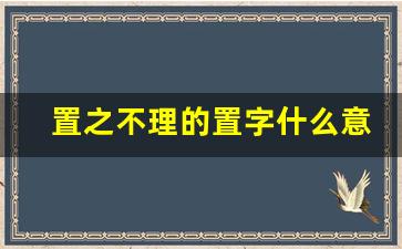 置之不理的置字什么意思