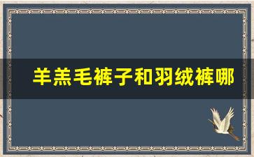 羊羔毛裤子和羽绒裤哪个暖和_羽绒棉和棉服哪个暖和