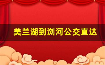 美兰湖到浏河公交直达吗_浏河到美兰湖最早班车几点出发