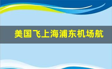 美国飞上海浦东机场航班查询