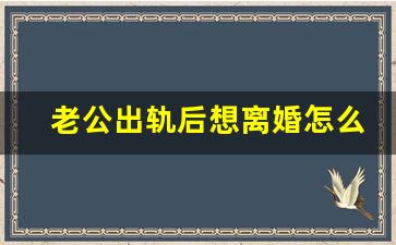 老公出轨后想离婚怎么办