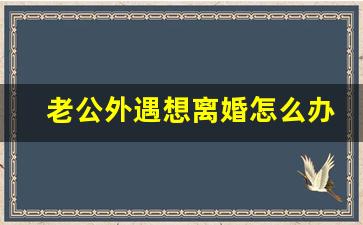 老公外遇想离婚怎么办_发现老公有外遇我想离婚