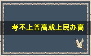 考不上普高就上民办高中_中考落榜怎样上普高