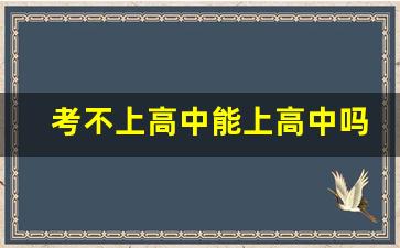 考不上高中能上高中吗_初中200到300分能上什么学校