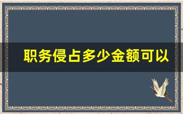 职务侵占多少金额可以立案_有转账记录就能告职务侵占吗