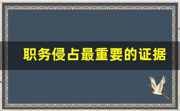 职务侵占最重要的证据